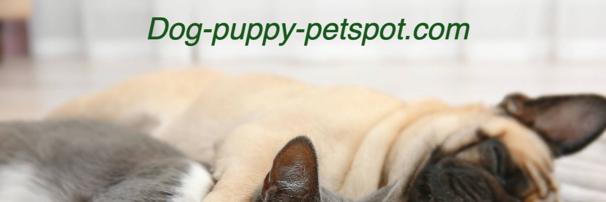 dog-puppy-petspot.com